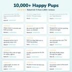 Heorl Pet Summer Cooling Pad