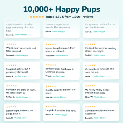 Heorl Pet Summer Cooling Pad